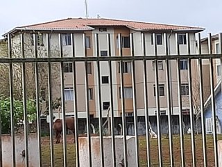 Imagem do imóvel AP87802