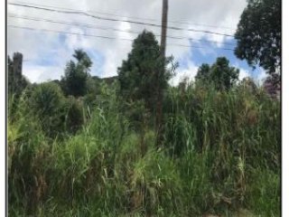 Imagem do imóvel TE80416