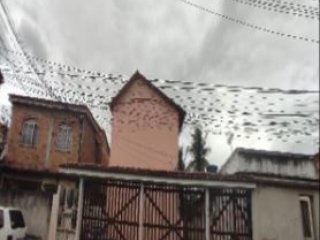 Imagem do imóvel CA98753