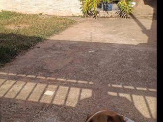 Imagem do imóvel CA70517