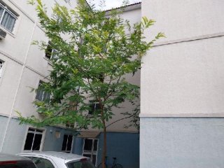 Imagem do imóvel AP84633